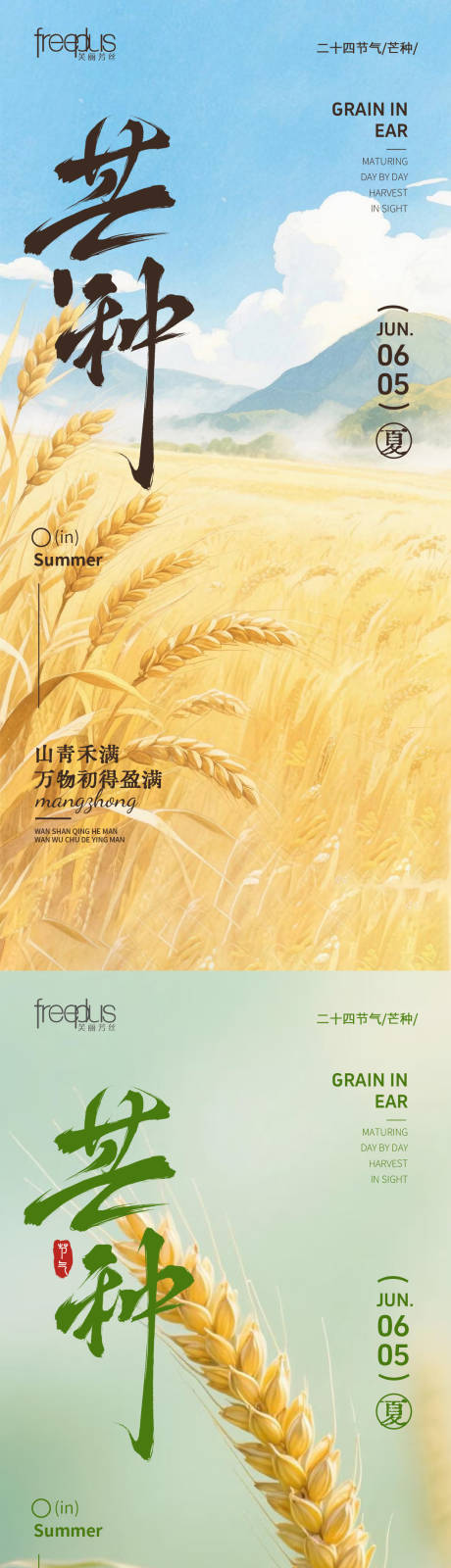 源文件下载【享设计】搜索编号：16290036679374167【芒种节气海报】
