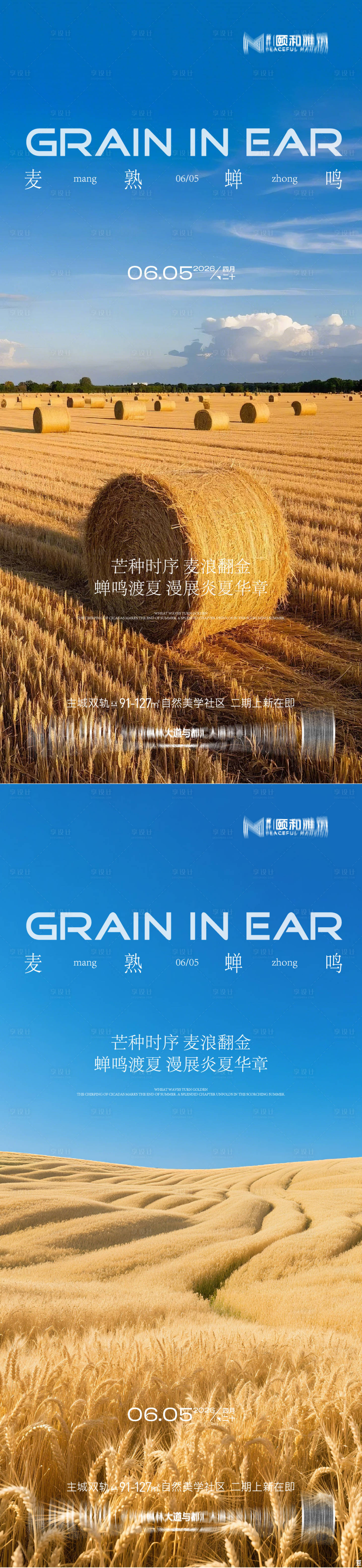 源文件下载【享设计】搜索编号：94190036968156245【芒种二十四节气节日海报麦芒麦田】