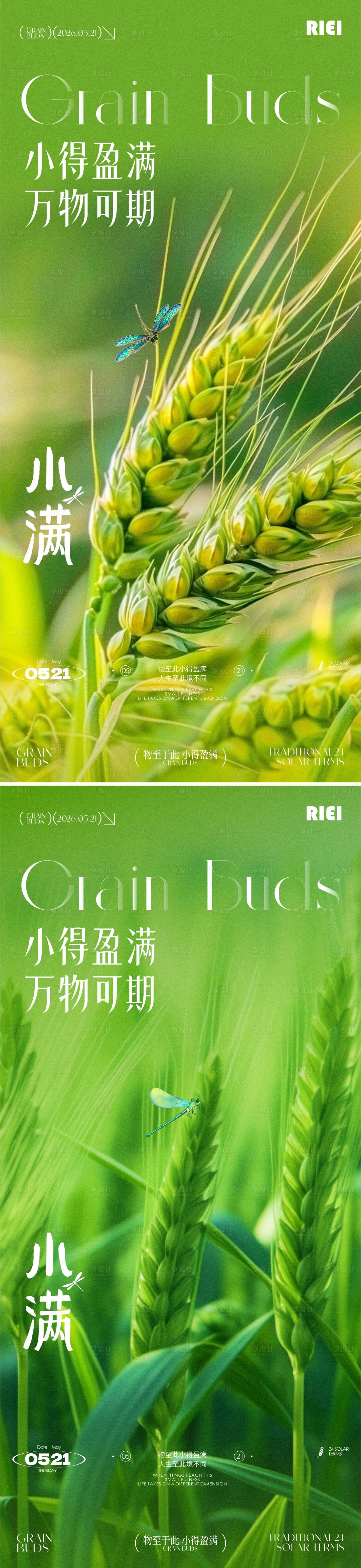 源文件下载【享设计】搜索编号：71070036877351159【小满节气海报】
