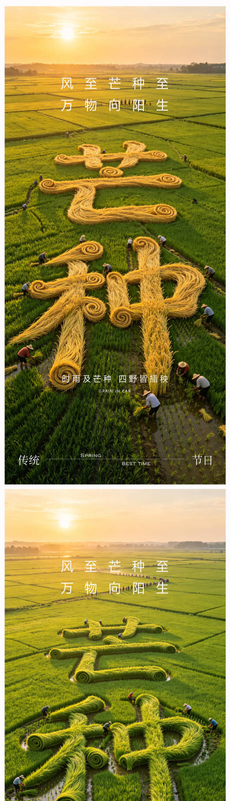 源文件下载【享设计】搜索编号：78190036737111985【芒种节气海报】