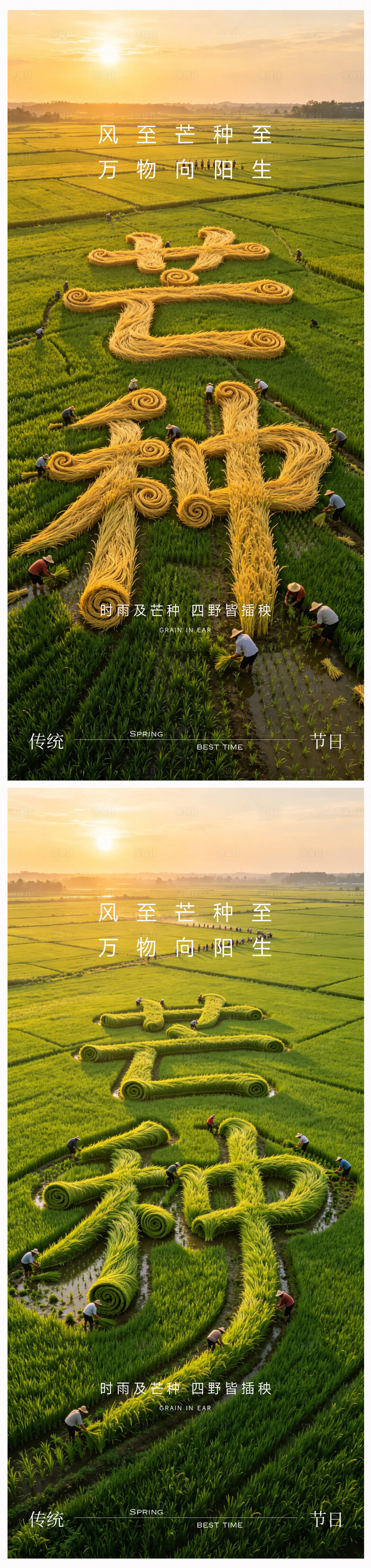 源文件下载【享设计】搜索编号：78190036737111985【芒种节气海报】