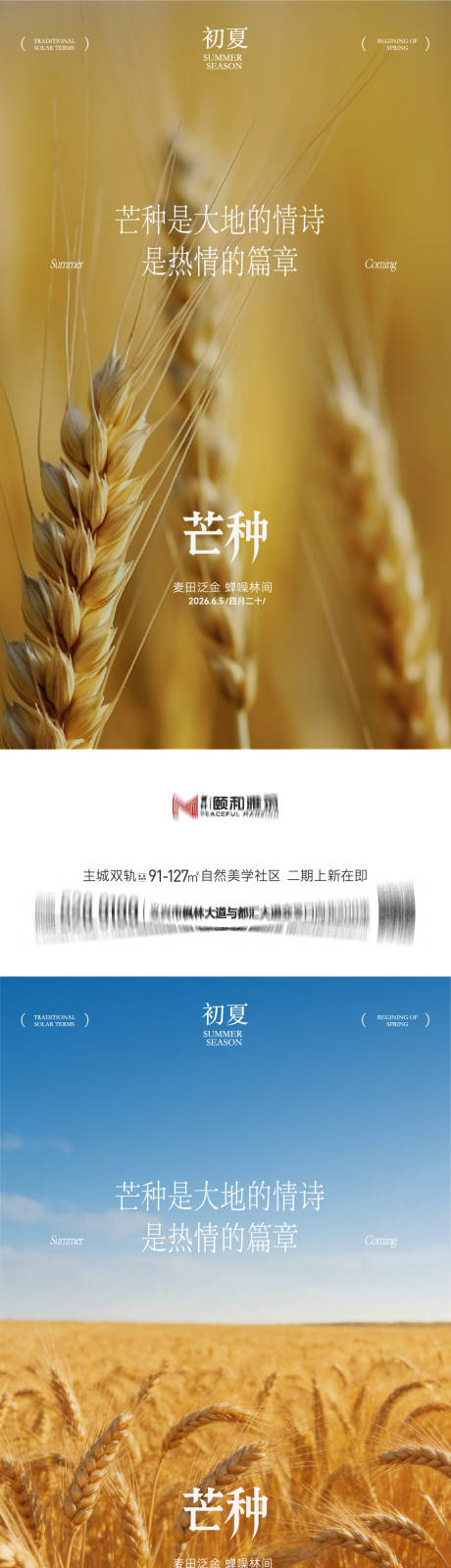 源文件下载【享设计】搜索编号：99610036968439849【芒种二十四节气节日海报麦芒麦田】