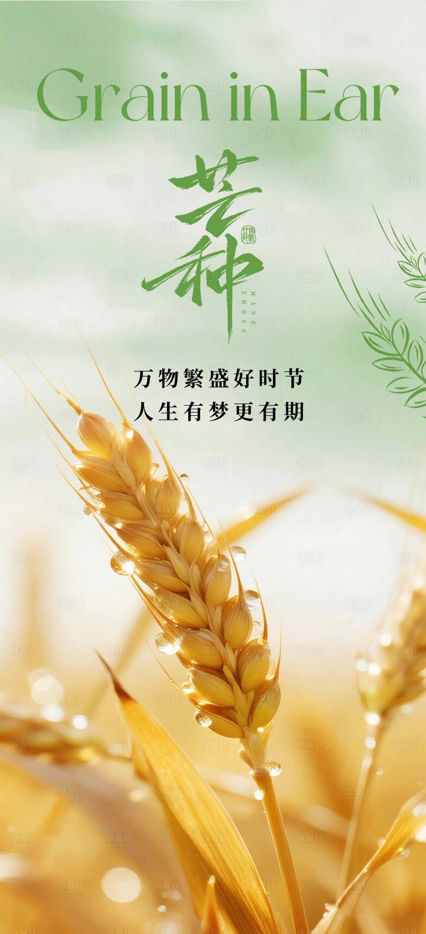 源文件下载【享设计】搜索编号：54270037076374852【地产芒种节气海报】
