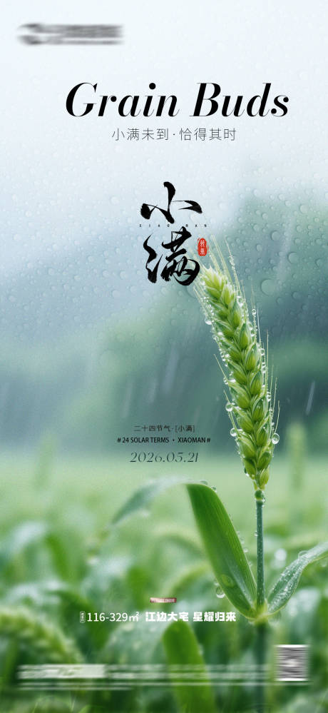 源文件下载【享设计】搜索编号：63730036838966035【二十四节小满 】