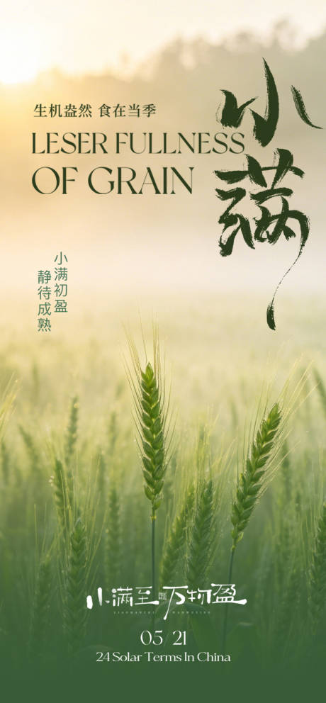 源文件下载【享设计】搜索编号：92170036905339509【二十四节气小满海报】