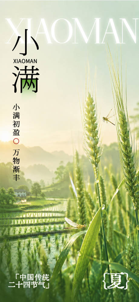 源文件下载【享设计】搜索编号：66590036698893923【小满节气海报】