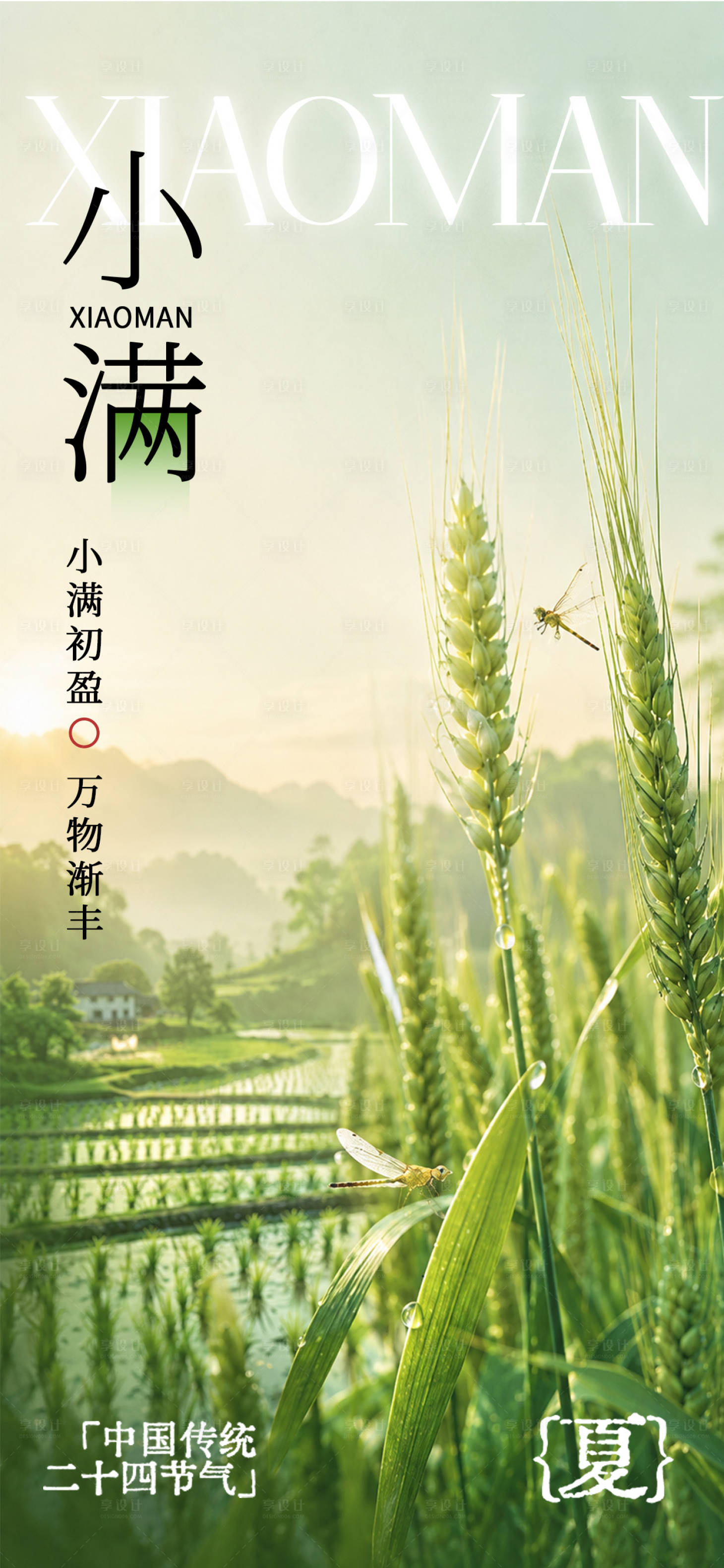 源文件下载【享设计】搜索编号：66590036698893923【小满节气海报】