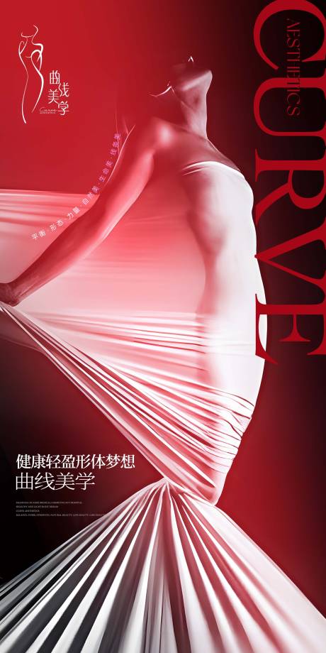 源文件下载【享设计】搜索编号：31290037007966693【曲线美学海报】