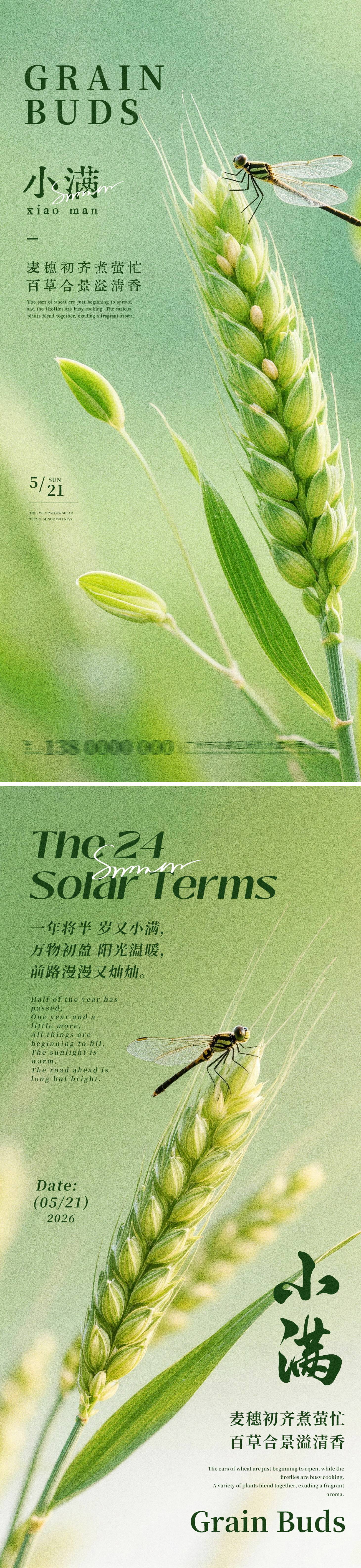 源文件下载【享设计】搜索编号：17740036740243534【二十四节气小满海报】