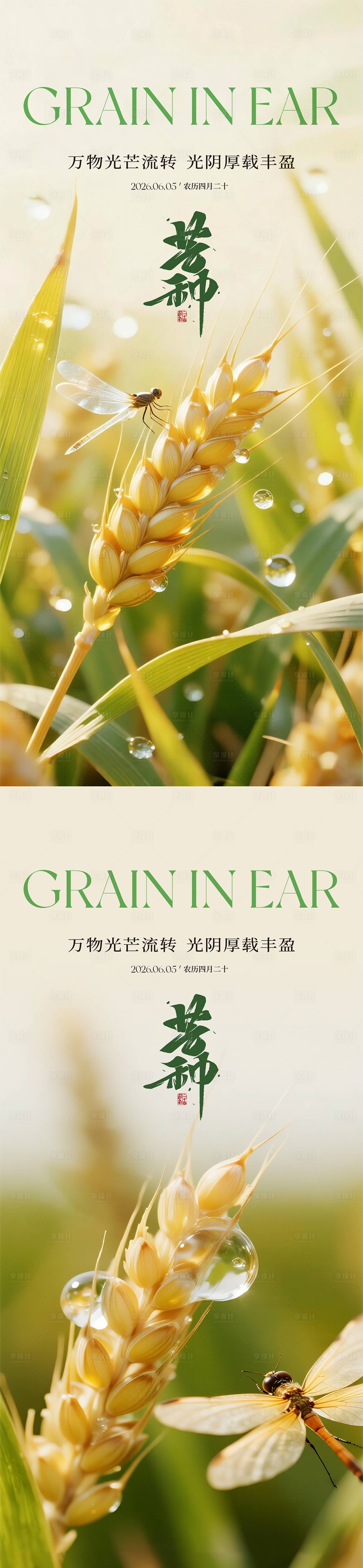 源文件下载【享设计】搜索编号：91910037099568440【芒种节气系列海报】