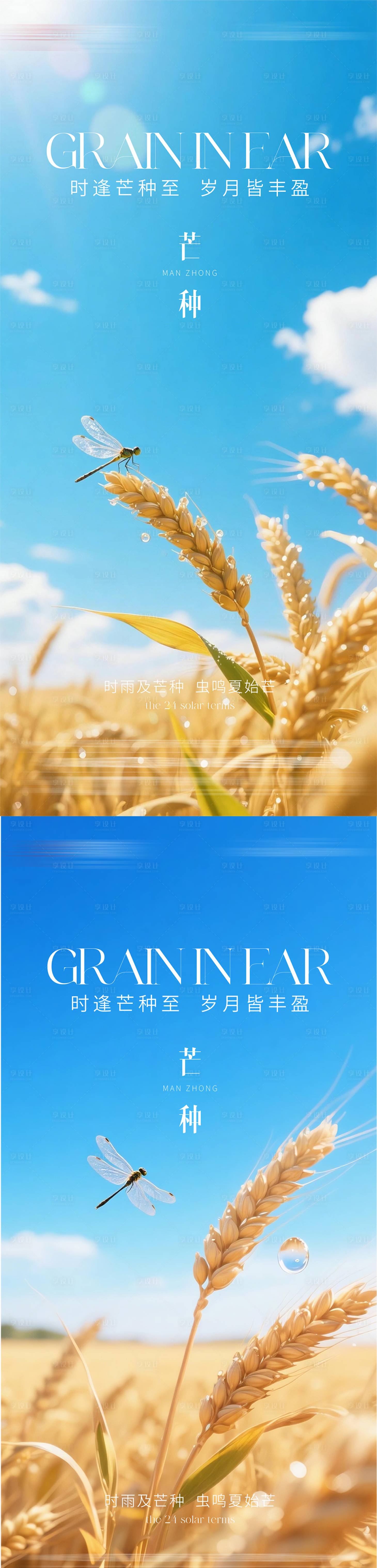 源文件下载【享设计】搜索编号：77560036977127812【芒种节气海报】