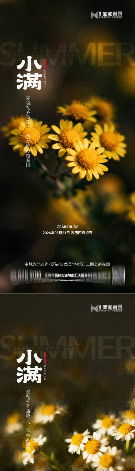 源文件下载【享设计】搜索编号：26100036867844423【小满二十四节气节日海报2026】
