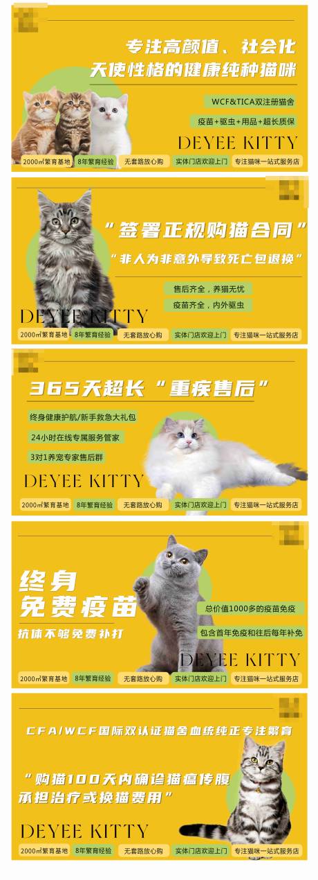 源文件下载【享设计】搜索编号：75200036678453865【美团抖音大众宠物轮播banner】