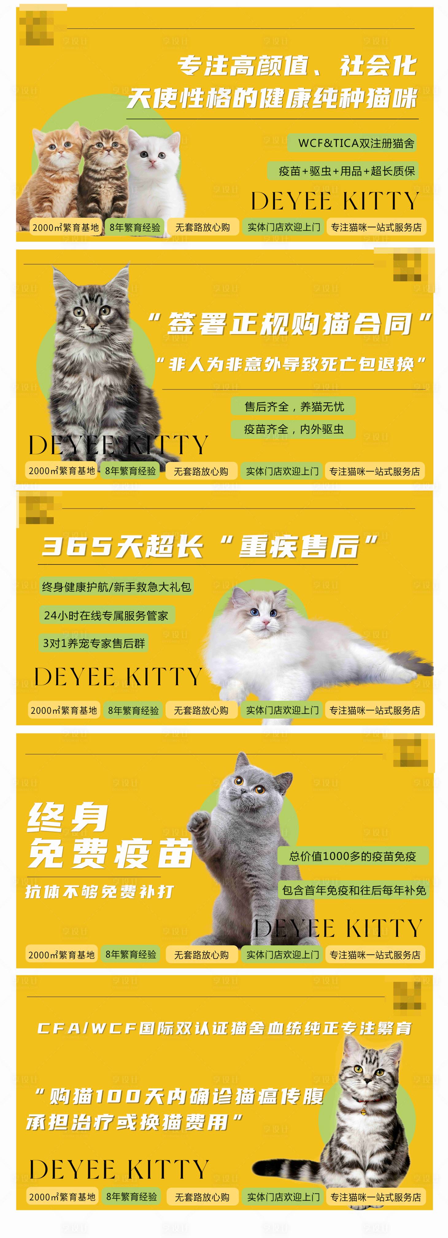 源文件下载【享设计】搜索编号：75200036678453865【美团抖音大众宠物轮播banner】