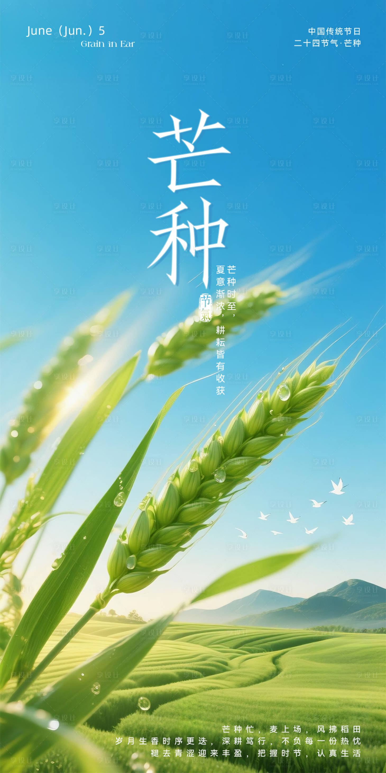 源文件下载【享设计】搜索编号：83230036986311920【芒种海报】