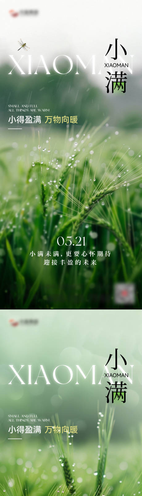 源文件下载【享设计】搜索编号：59490036743853113【小满节气海报】