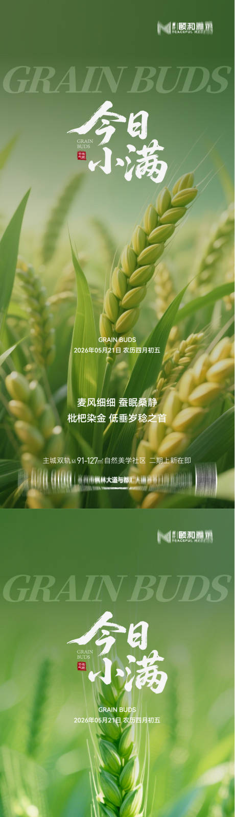 源文件下载【享设计】搜索编号：17200036867742296【小满麦田二十四节气节日海报2026】