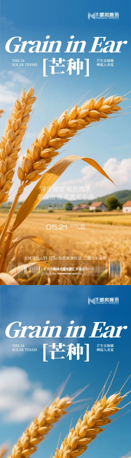 源文件下载【享设计】搜索编号：55220036967862535【芒种二十四节气节日海报麦芒麦田】