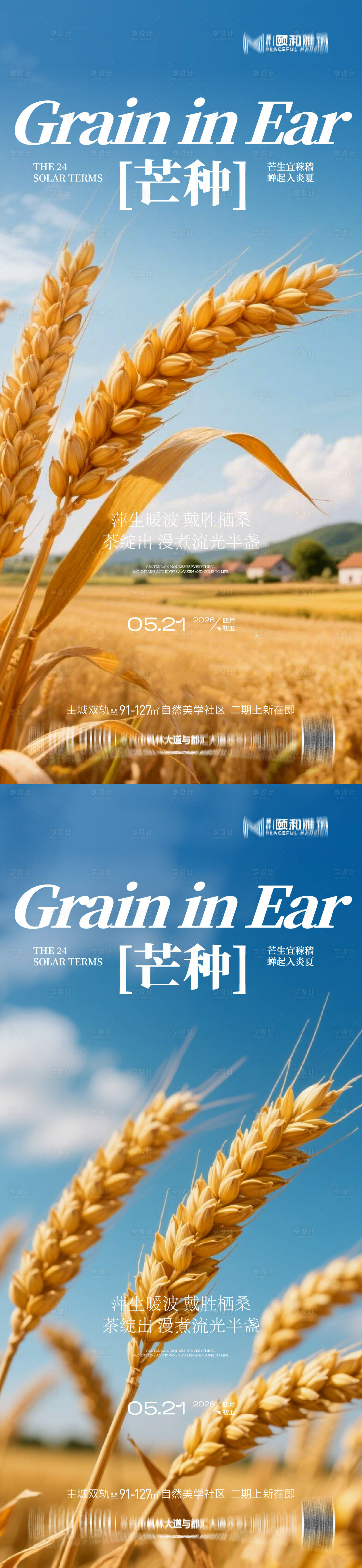 源文件下载【享设计】搜索编号：55220036967862535【芒种二十四节气节日海报麦芒麦田】