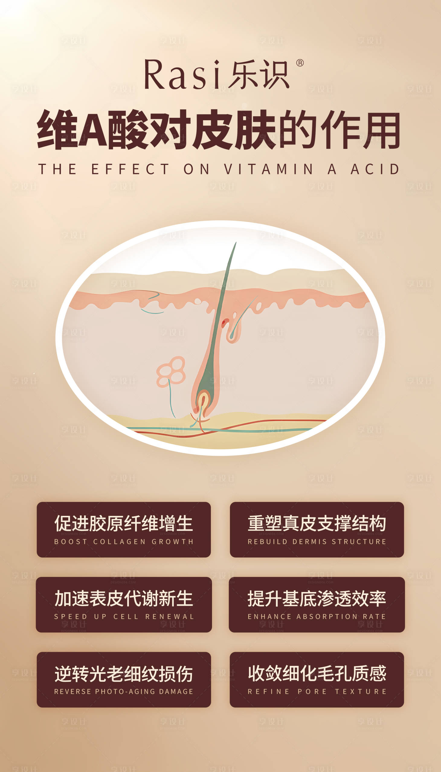 源文件下载【享设计】搜索编号：75500036742436581【维A酸对皮肤的作用】