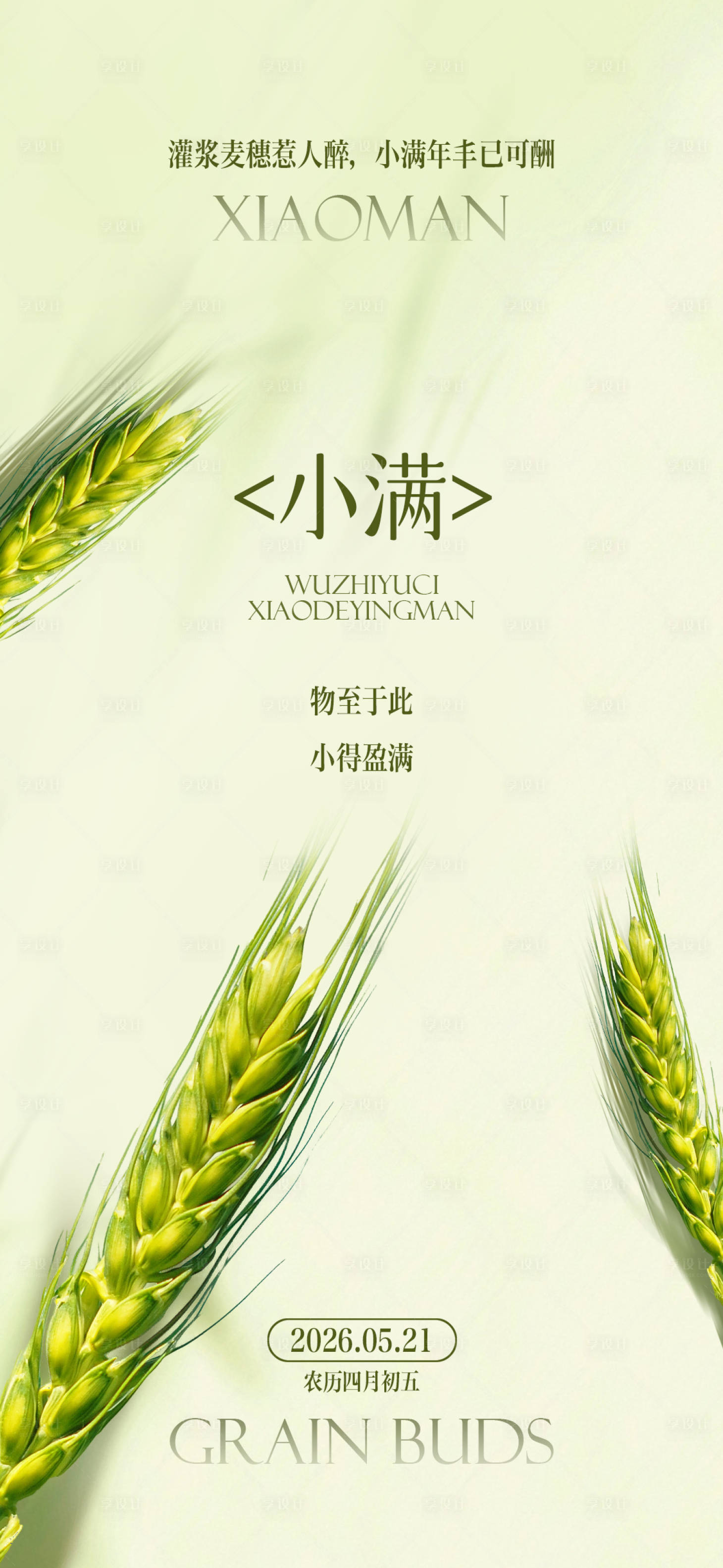 源文件下载【享设计】搜索编号：97910036696849777【小满芒种节气稻子水稻绿意简约排版海报】