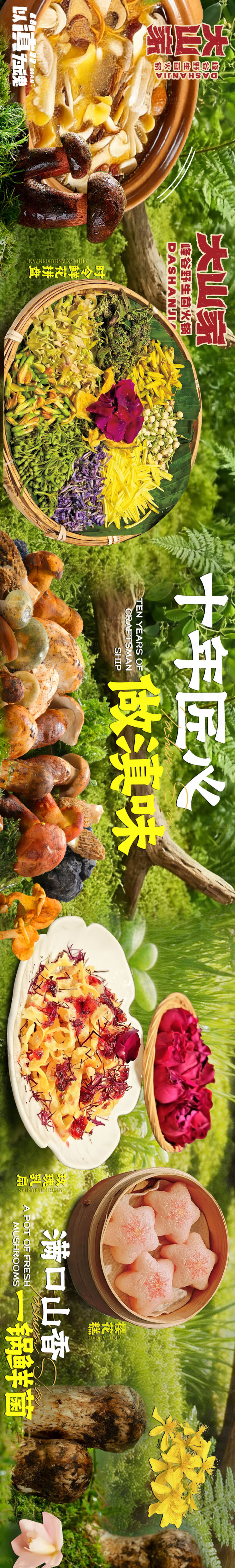 源文件下载【享设计】搜索编号：64590036735359237【大众点评春季山野餐饮野生菌五连图】