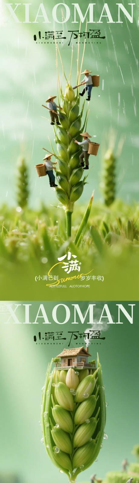 源文件下载【享设计】搜索编号：47540036753797286【小满节气创意报设计】