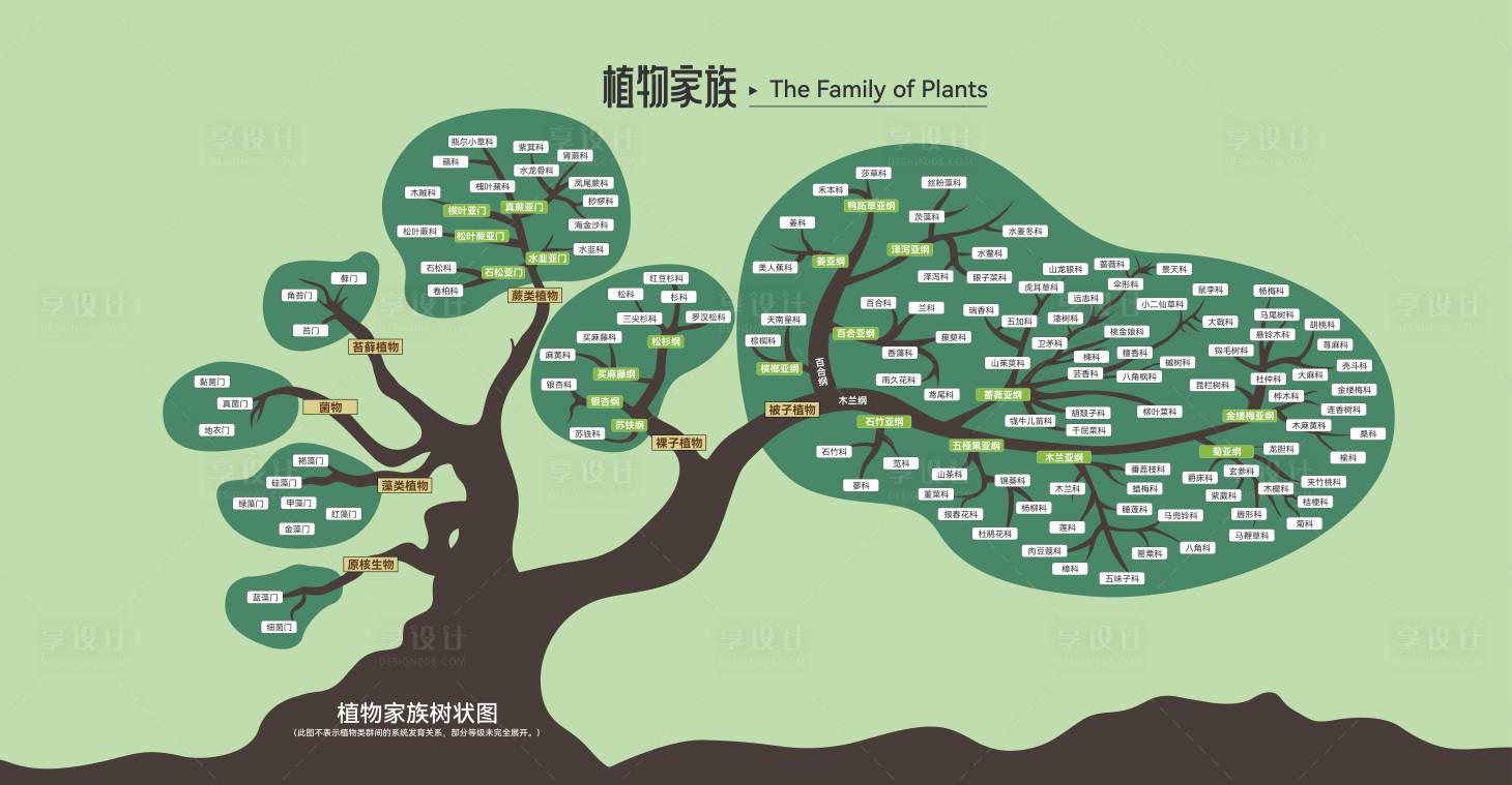 源文件下载【享设计】搜索编号：53780036686148578【植物家族树状图 】