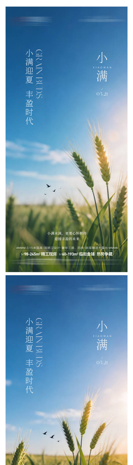 源文件下载【享设计】搜索编号：58460036815541030【地产小满节气海报】