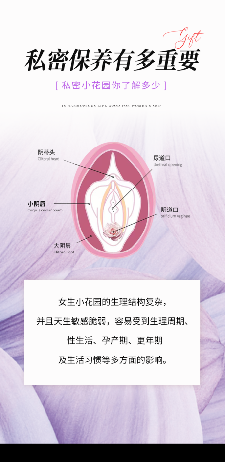 源文件下载【享设计】搜索编号：62310036715057351【女性系列海报】