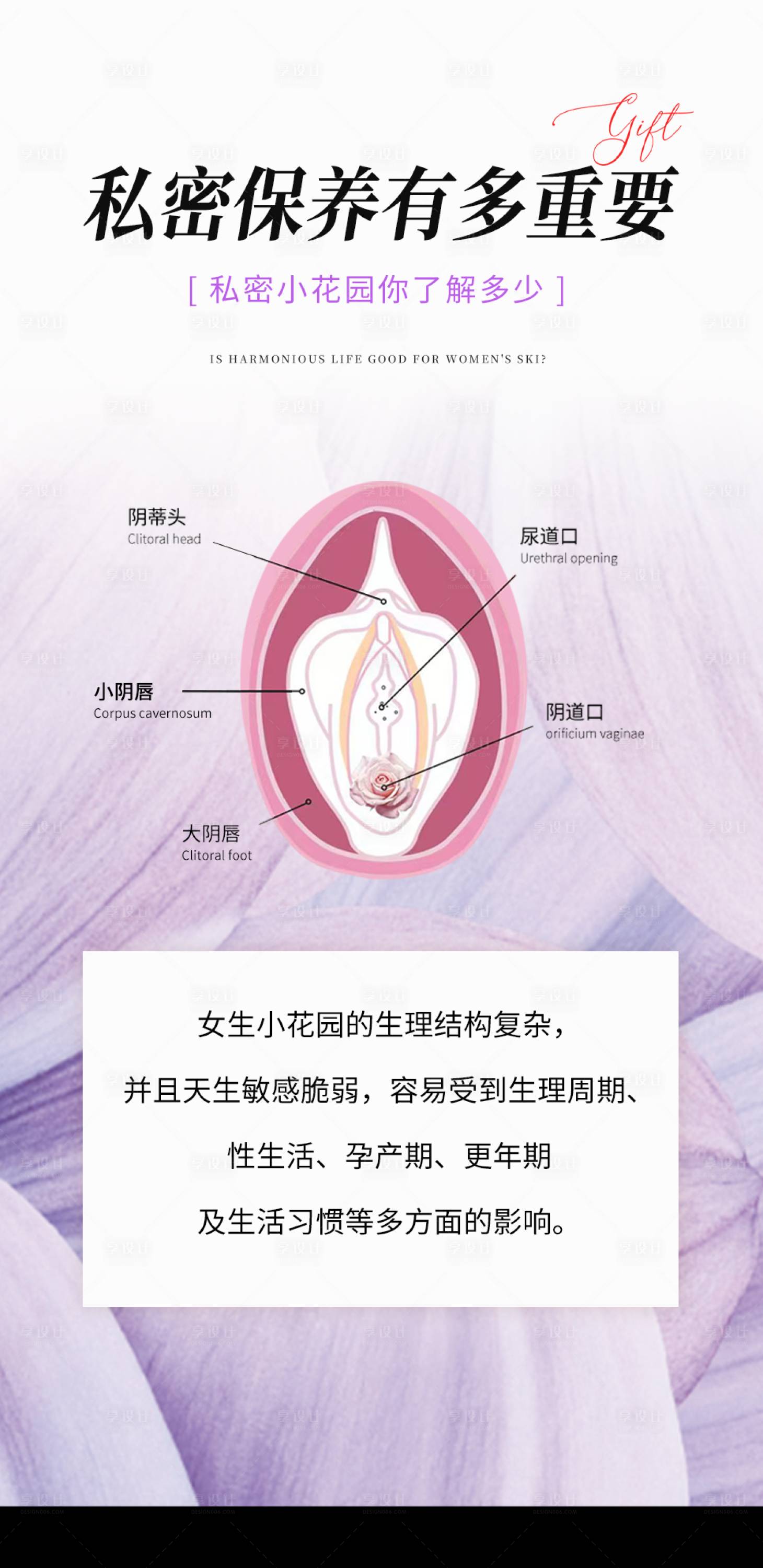 源文件下载【享设计】搜索编号：62310036715057351【女性系列海报】