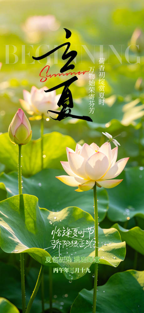 源文件下载【享设计】搜索编号：18950036673509382【立夏节气海报】