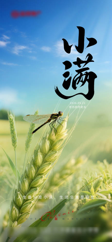 源文件下载【享设计】搜索编号：67300036847337103【地产节气小满】
