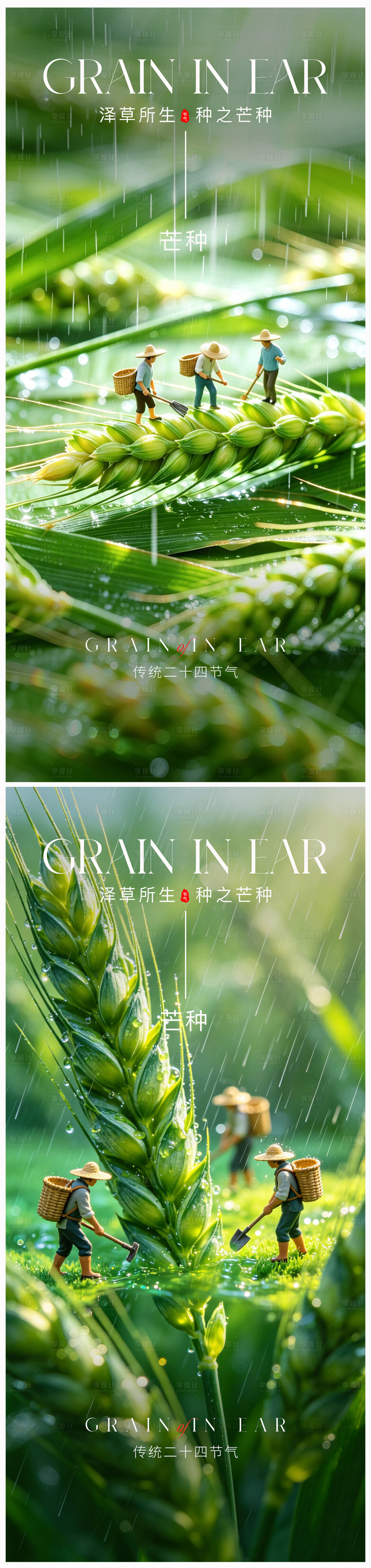 源文件下载【享设计】搜索编号：57420036809296291【芒种节气海报】