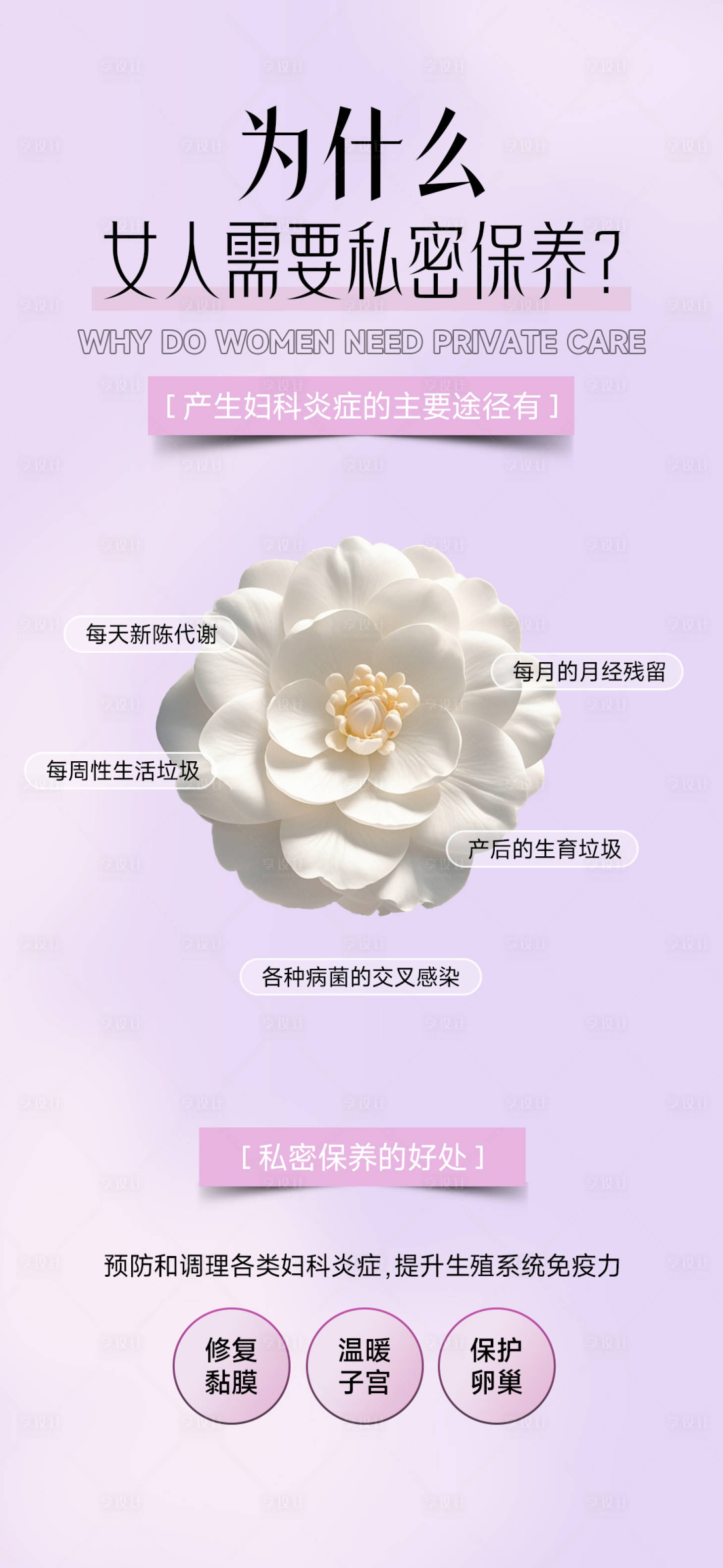 源文件下载【享设计】搜索编号：23600036778649623【为什么女人需要私密保养科普海报】