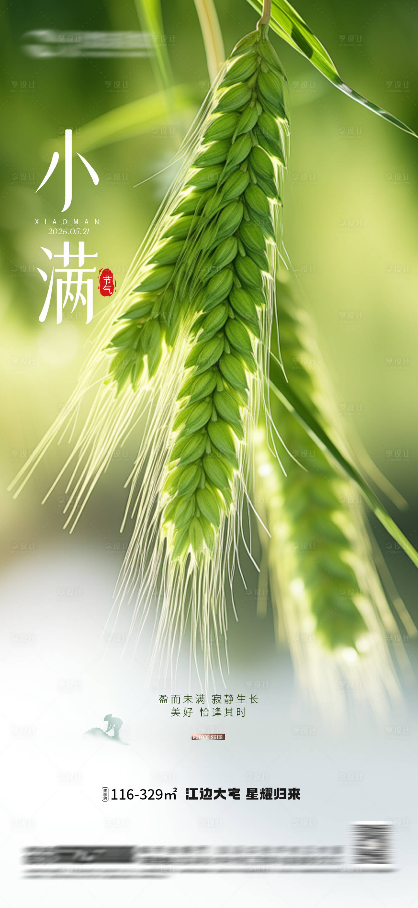 源文件下载【享设计】搜索编号：12050036869899641【小满二十四节气地产房地产】