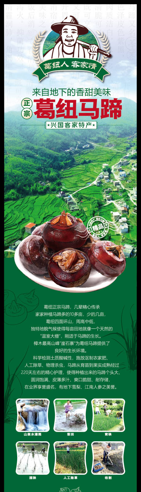 源文件下载【享设计】搜索编号：41060036727951376【葛纽马蹄物料形象海报】