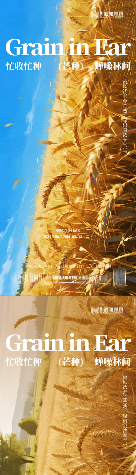 源文件下载【享设计】搜索编号：24860036967856719【芒种节气海报】