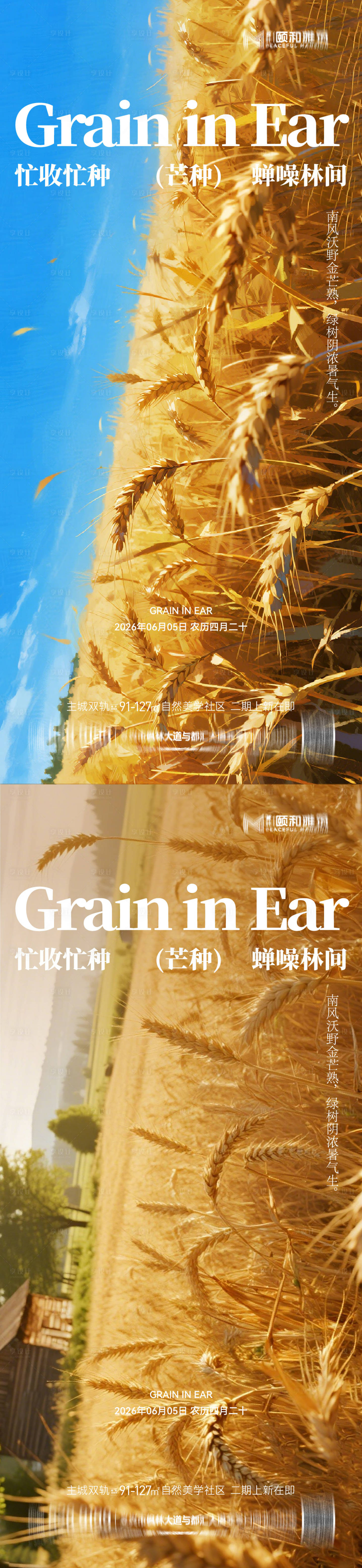 源文件下载【享设计】搜索编号：24860036967856719【芒种节气海报】
