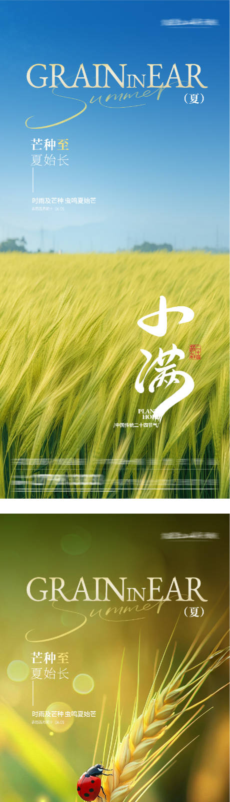 源文件下载【享设计】搜索编号：40020036825293939【地产小满芒种美景系海报】
