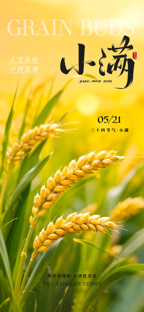 源文件下载【享设计】搜索编号：37460036928131123【小满麦穗海报】