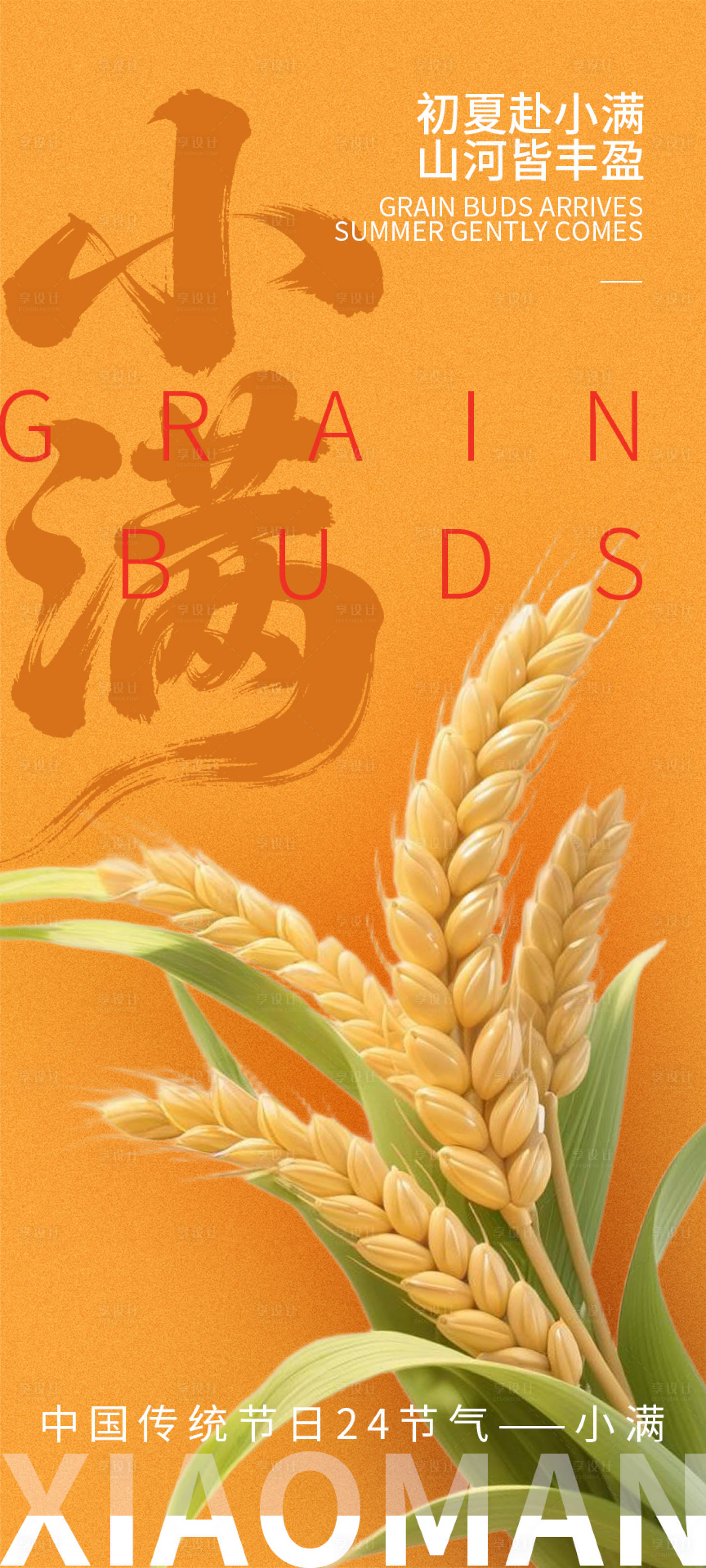 源文件下载【享设计】搜索编号：73110036835081339【小满节气海报】
