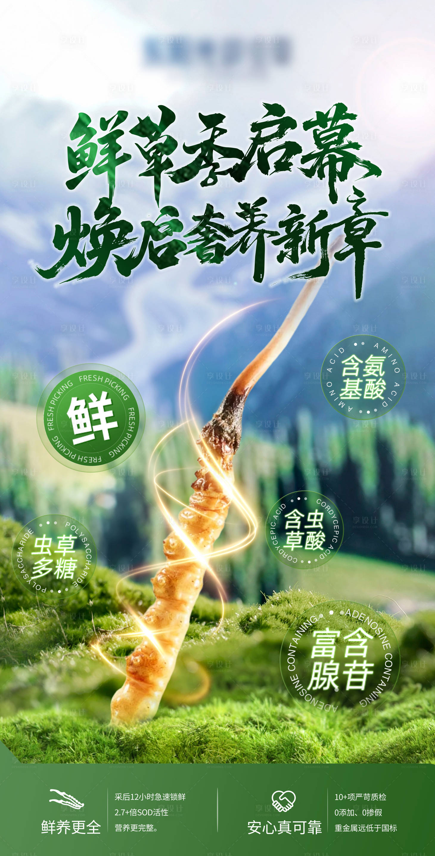 源文件下载【享设计】搜索编号：12740036798095399【鲜虫草海报】