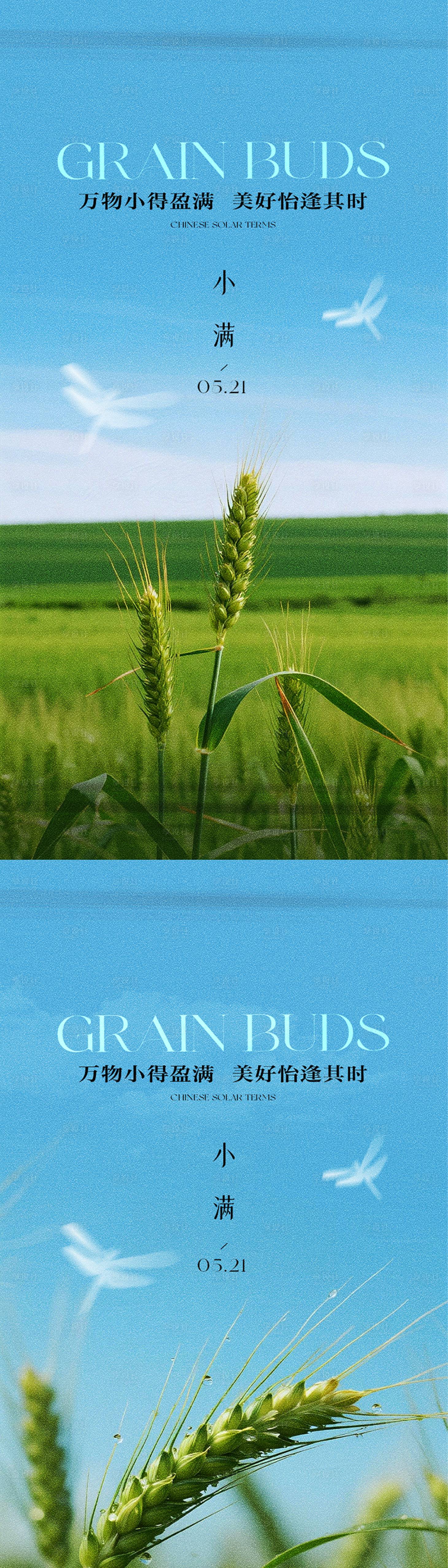 源文件下载【享设计】搜索编号：48520036724441451【小满节气系列海报 小满 麦田】