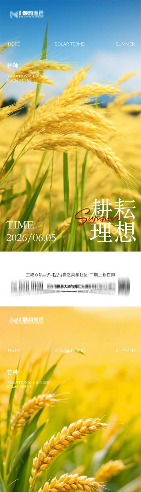 源文件下载【享设计】搜索编号：20800036968419400【芒种二十四节气节日海报麦芒麦田】