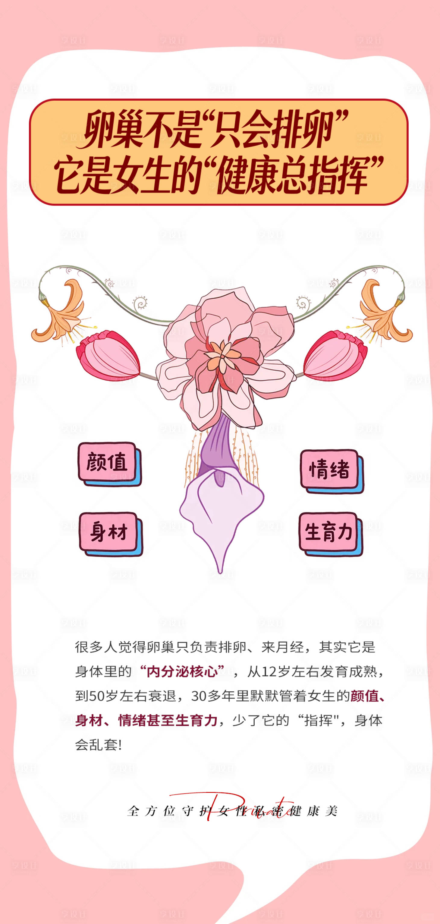 源文件下载【享设计】搜索编号：98850036723483620【卵巢 健康的总指挥】