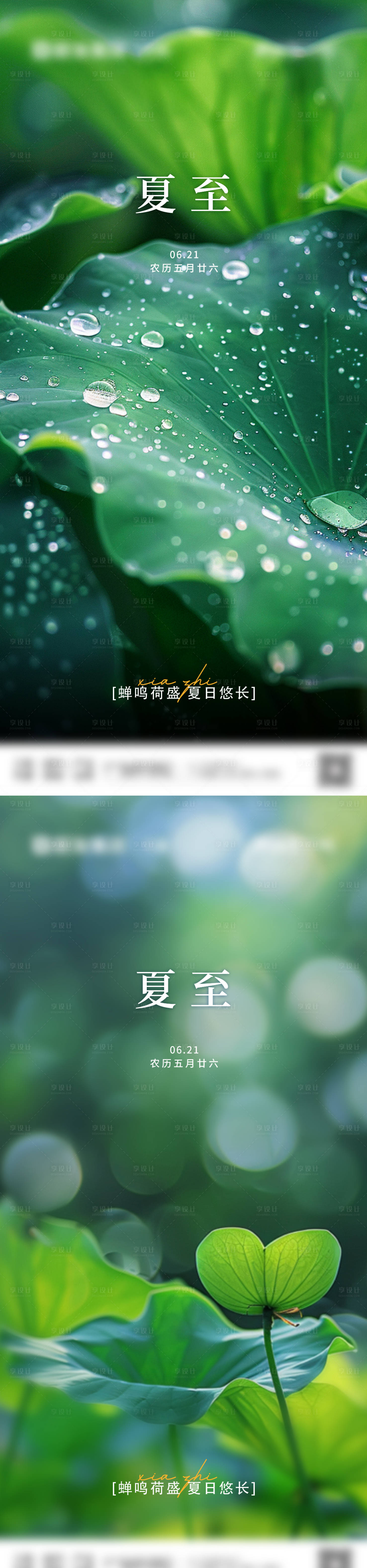 源文件下载【享设计】搜索编号：86370036900519360【夏至】