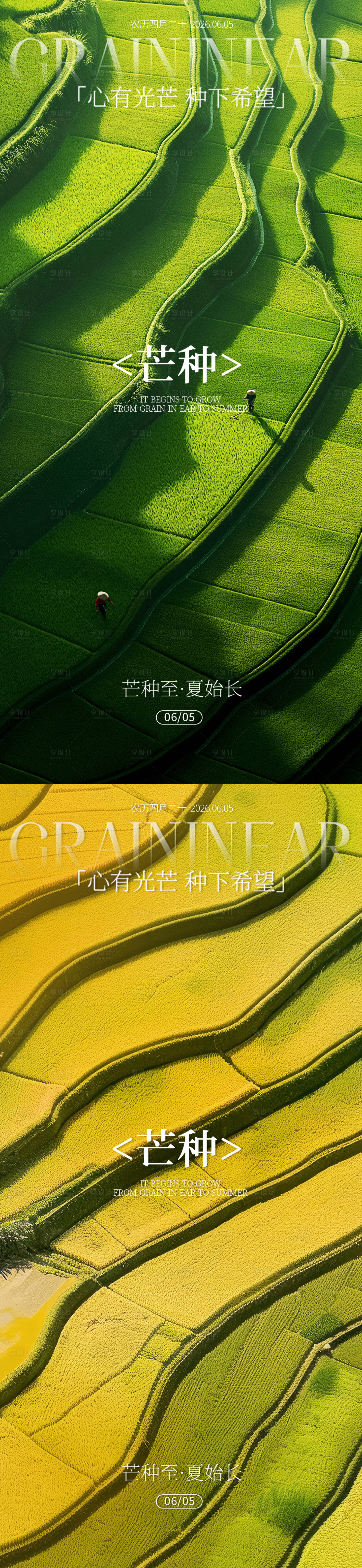 源文件下载【享设计】搜索编号：87100036748085339【芒种节气海报】