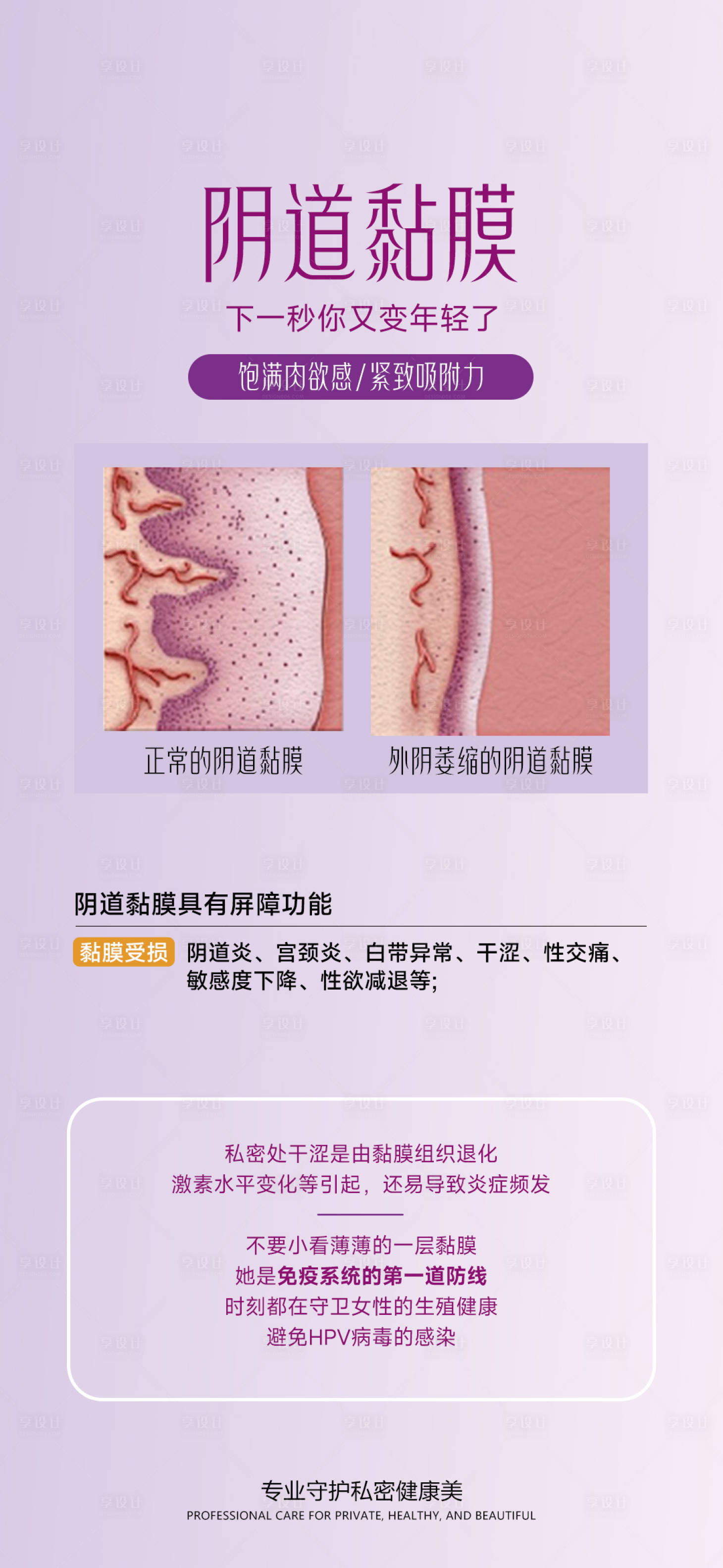 源文件下载【享设计】搜索编号：55870036687155240【阴道黏膜】