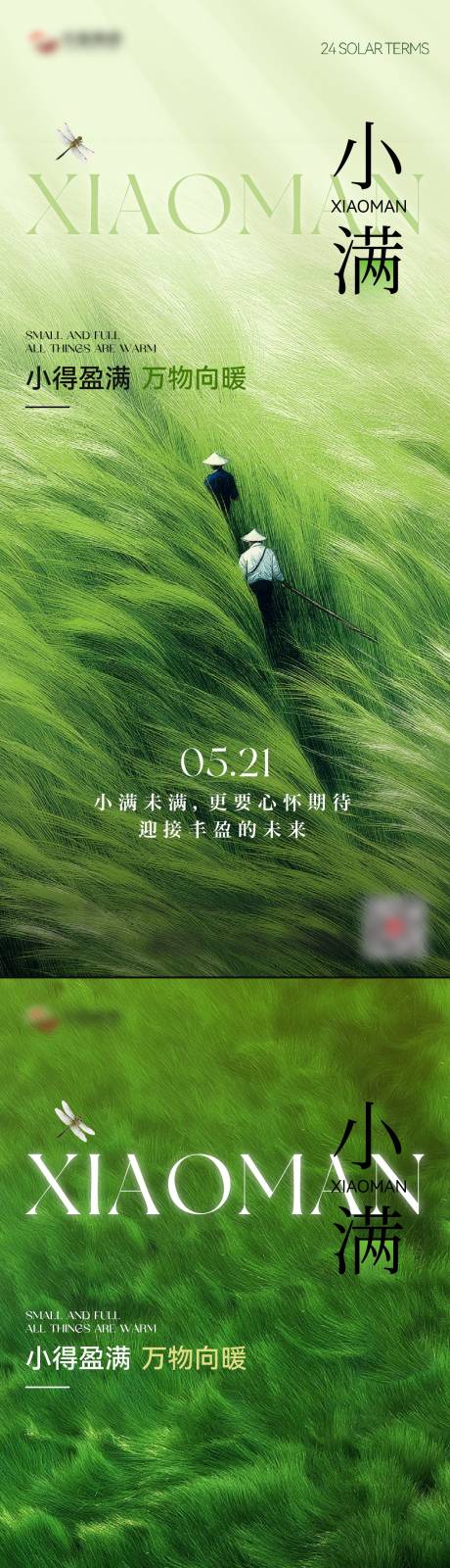 源文件下载【享设计】搜索编号：16110036742329372【小满节气海报】
